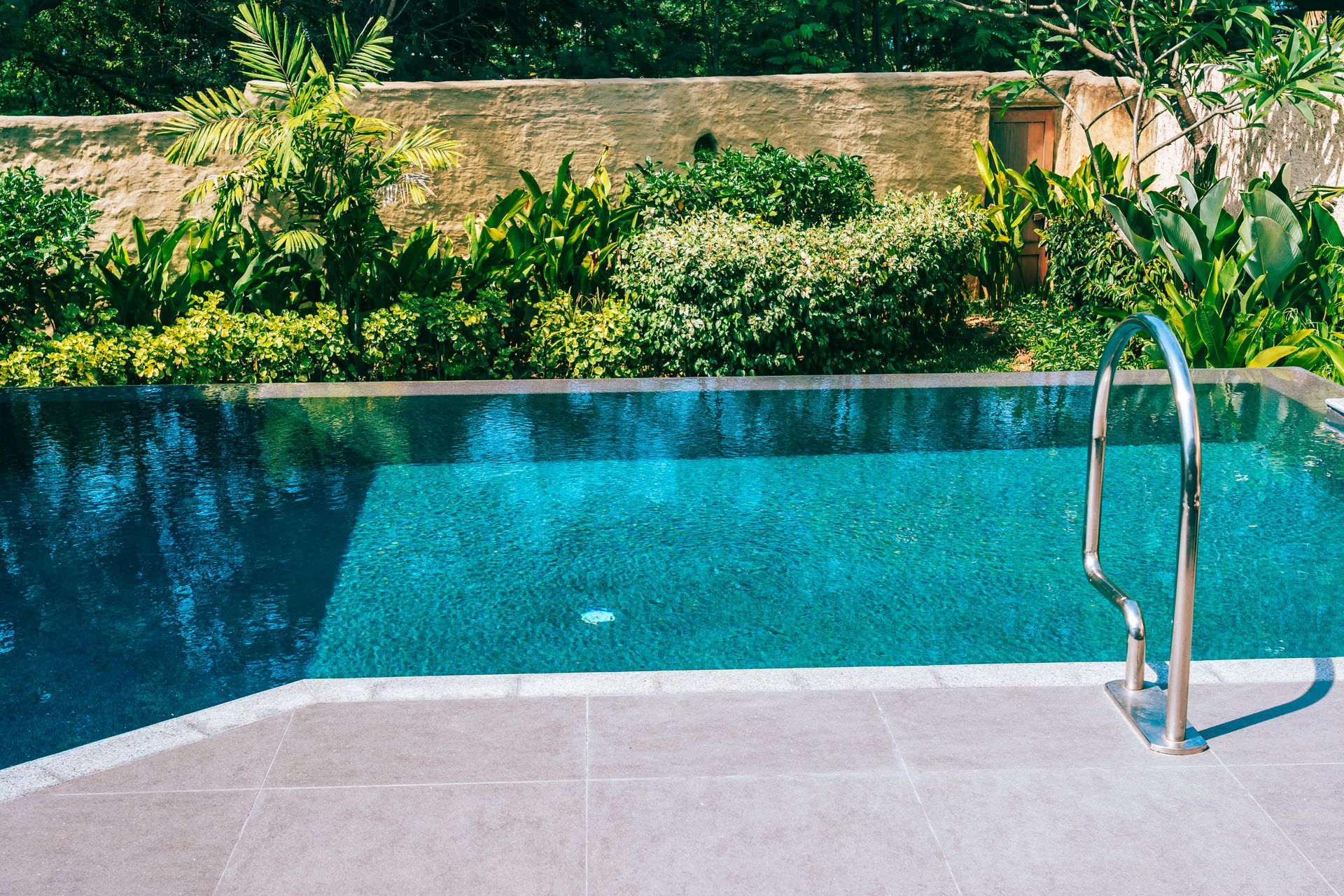 Piscine avec une échelle devant un jardin 