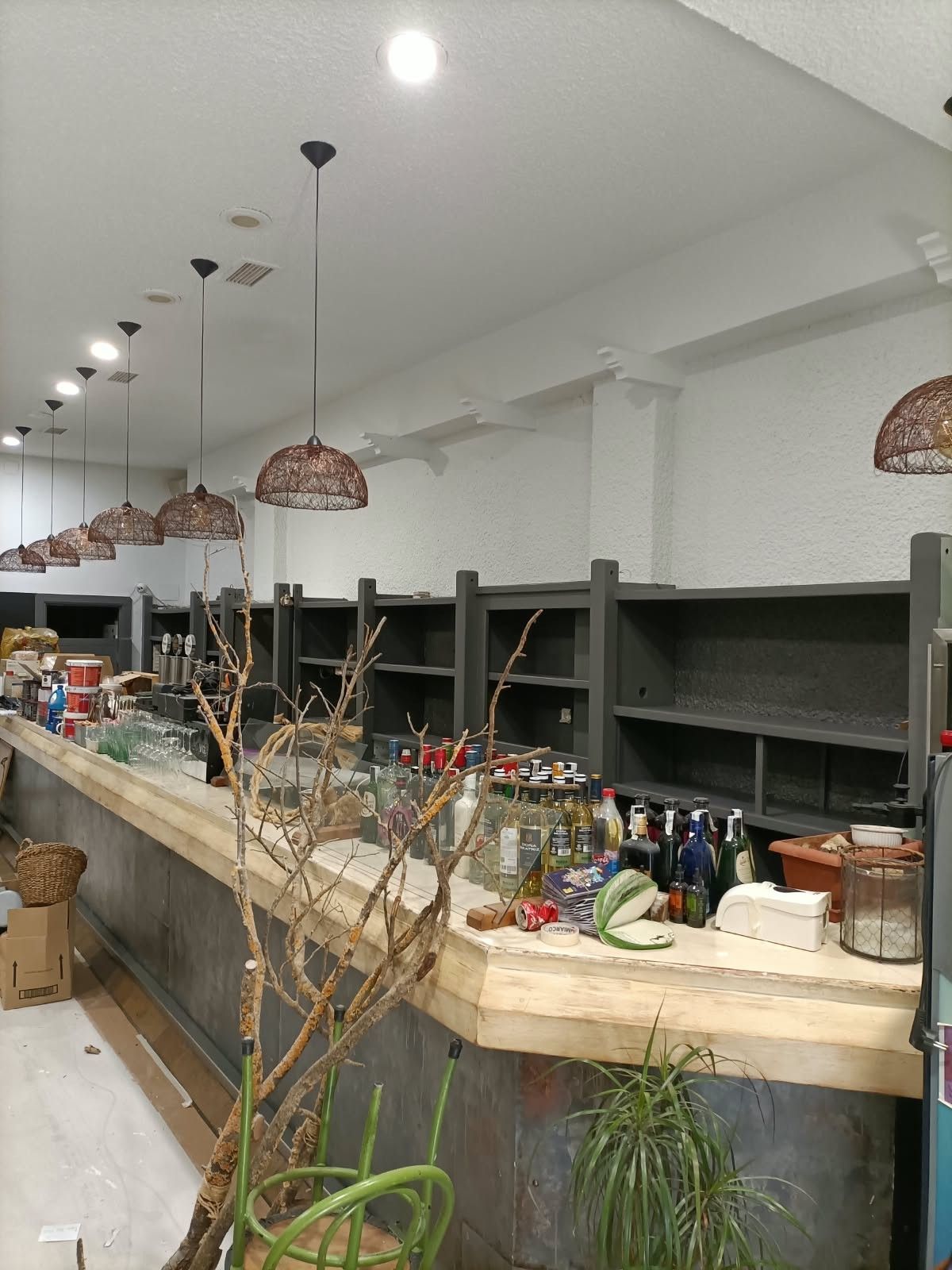 Bar de restaurante vacío, con estantes, lámparas colgantes y plantas en macetas a lo largo de la barra.