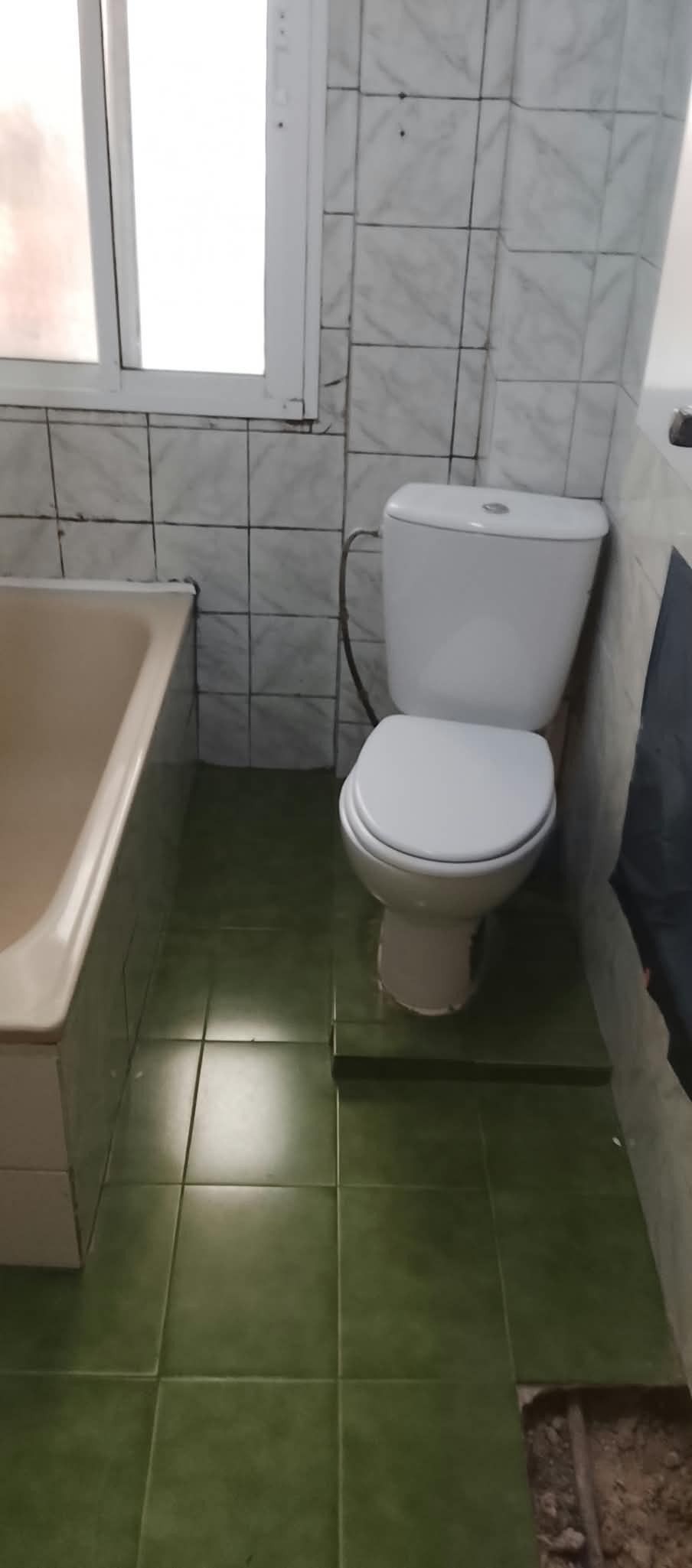Baño pequeño con suelo de baldosas verdes, inodoro blanco, borde de la bañera y luz de la ventana.