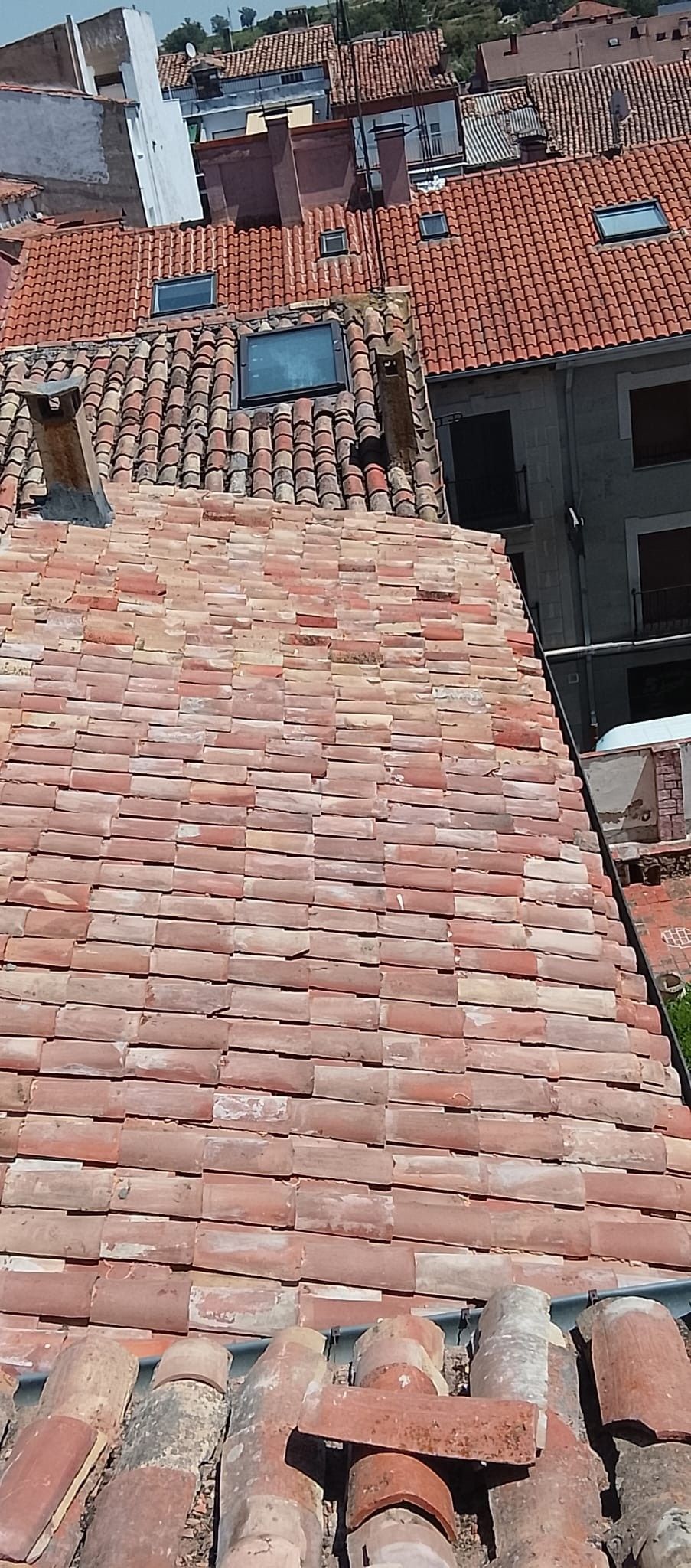 Azoteas con tejas de barro rojo y pequeñas claraboyas en un barrio urbano densamente poblado