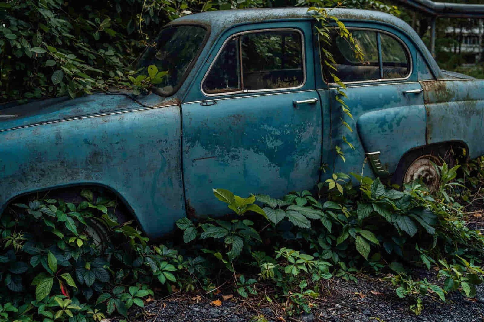 Viejo coche azul, cubierto de enredaderas, en medio de una zona boscosa.