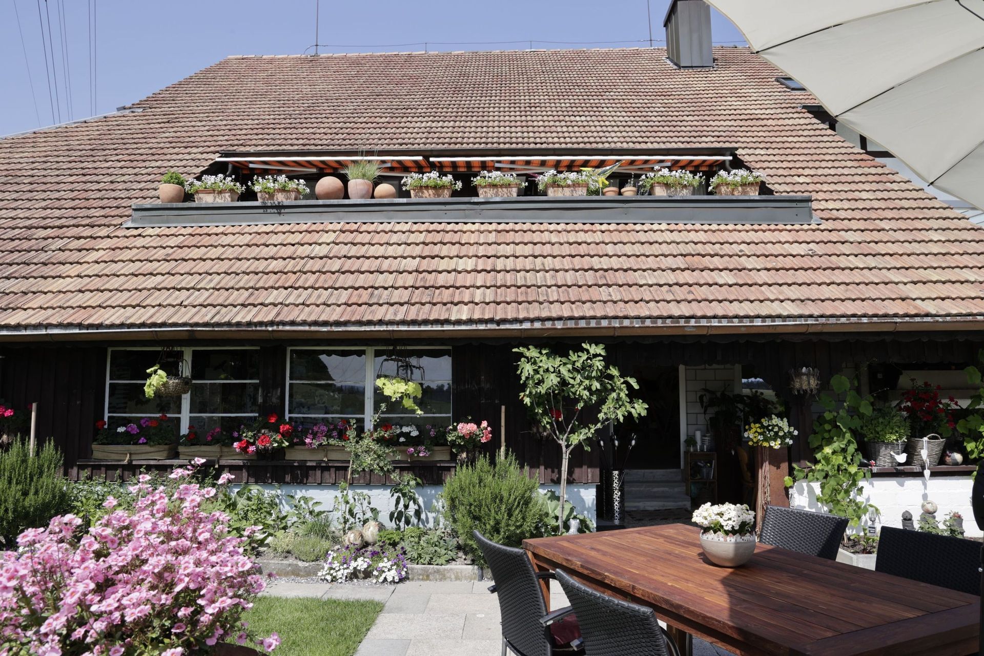 Elsi's Häpply Schür