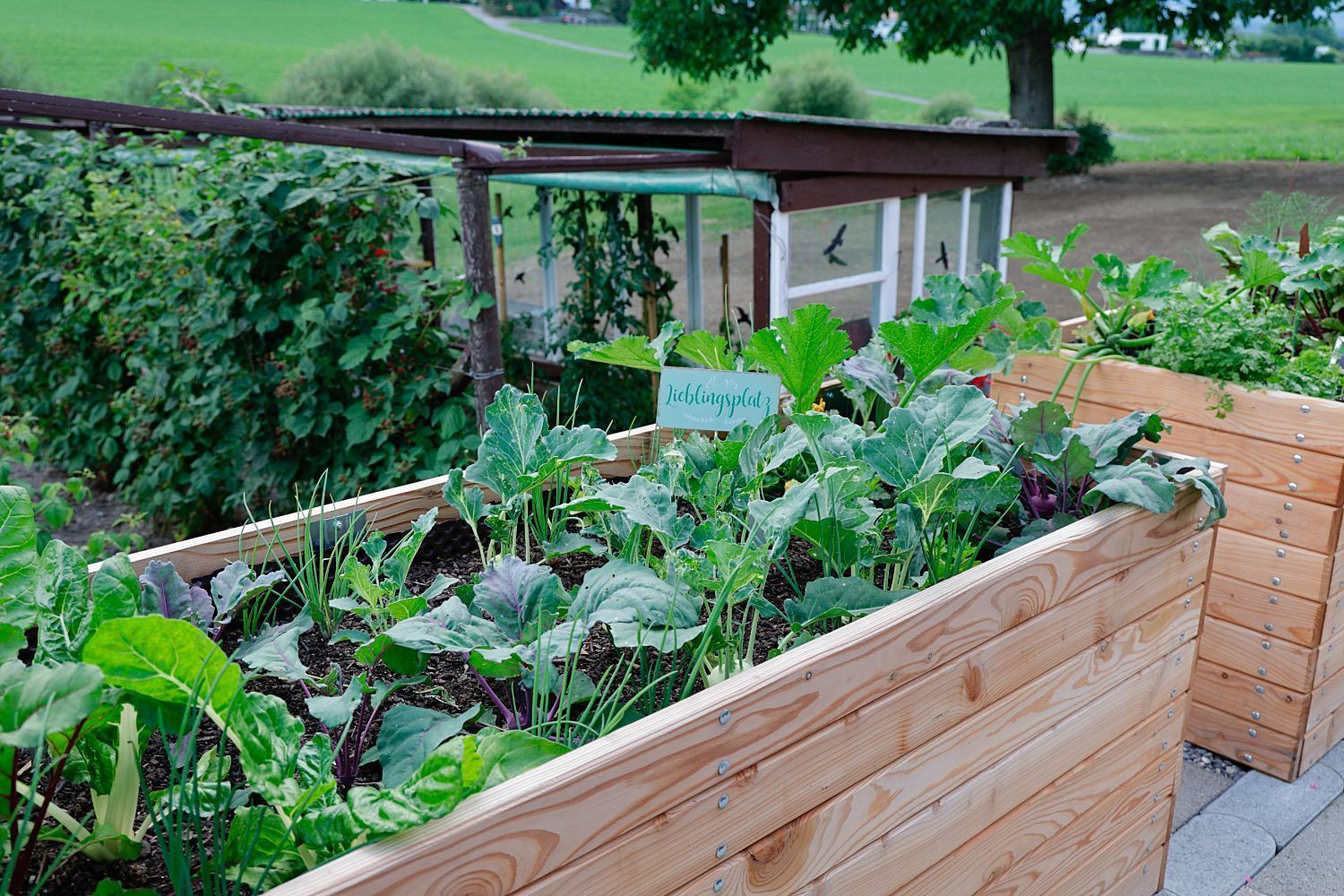 Elsi's Häpply Schür