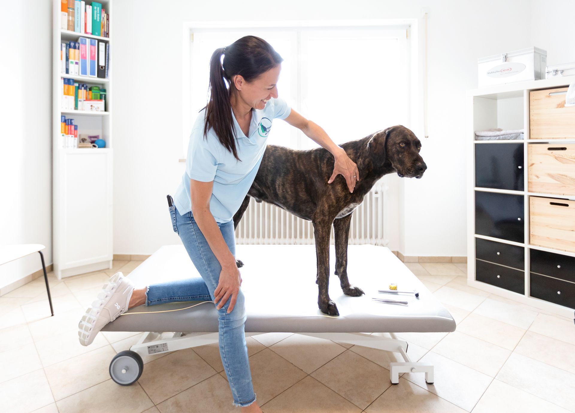 Eine Dogge auf dem höhenverstellbaren Behandlungstisch mit Inhaberin und Tierphysiotherapeutin Jenny Weise