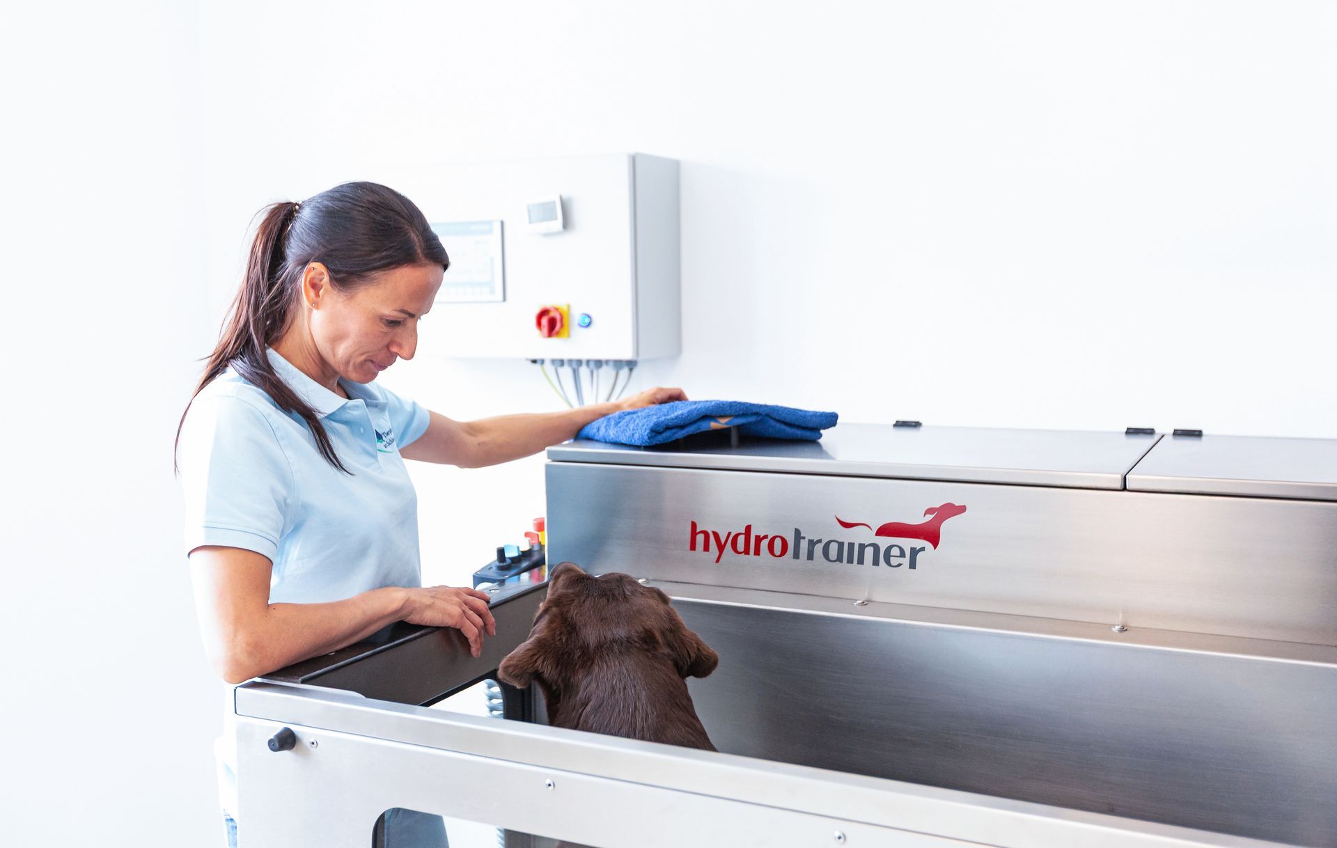 Inhaberin und Tierphysiotherapeutin Jenny Weise mit einem Labrador im Hydrotrainer – Wasserlaufband
