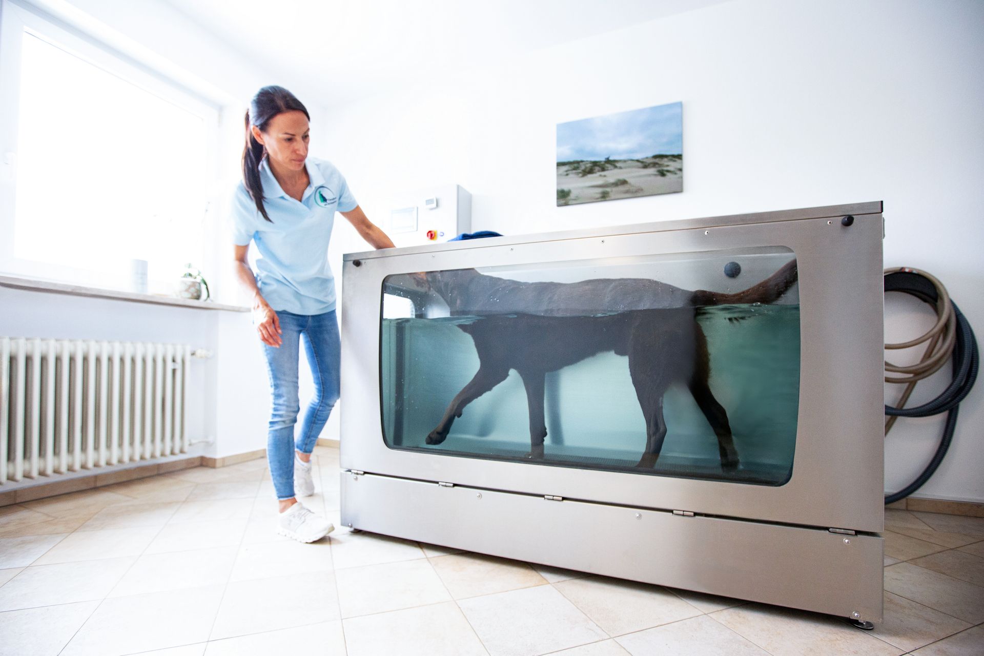 Inhaberin und Tierphysiotherapeutin Jenny Weise mit einem Labrador im Hydrotrainer – Wasserlaufband