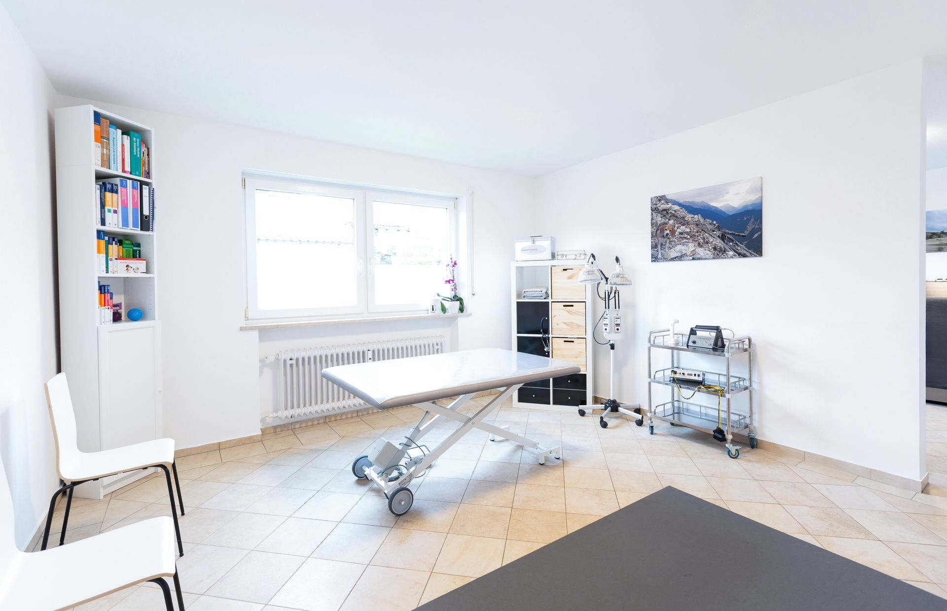Untersuchungsraum der Tierphysiotherapie am Schlossberg