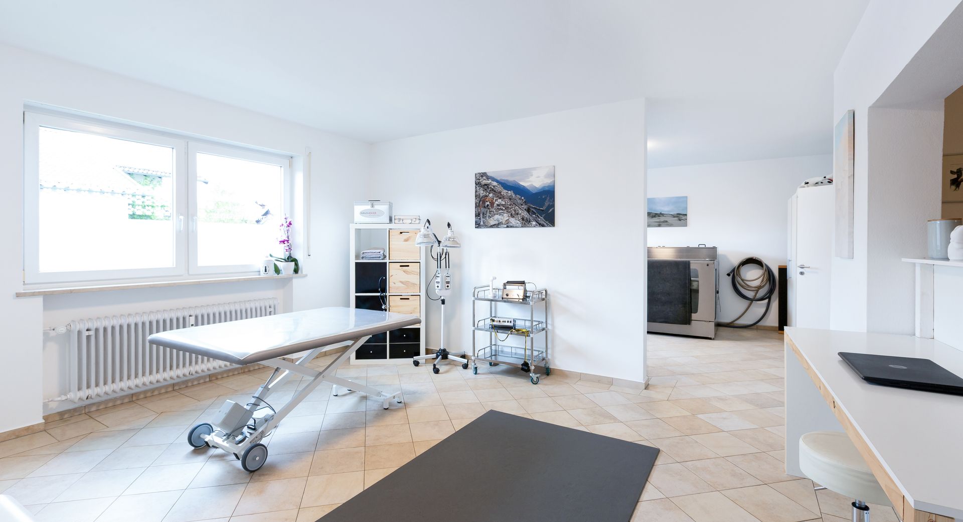 Untersuchungsraum der Tierphysiotherapie am Schlossberg