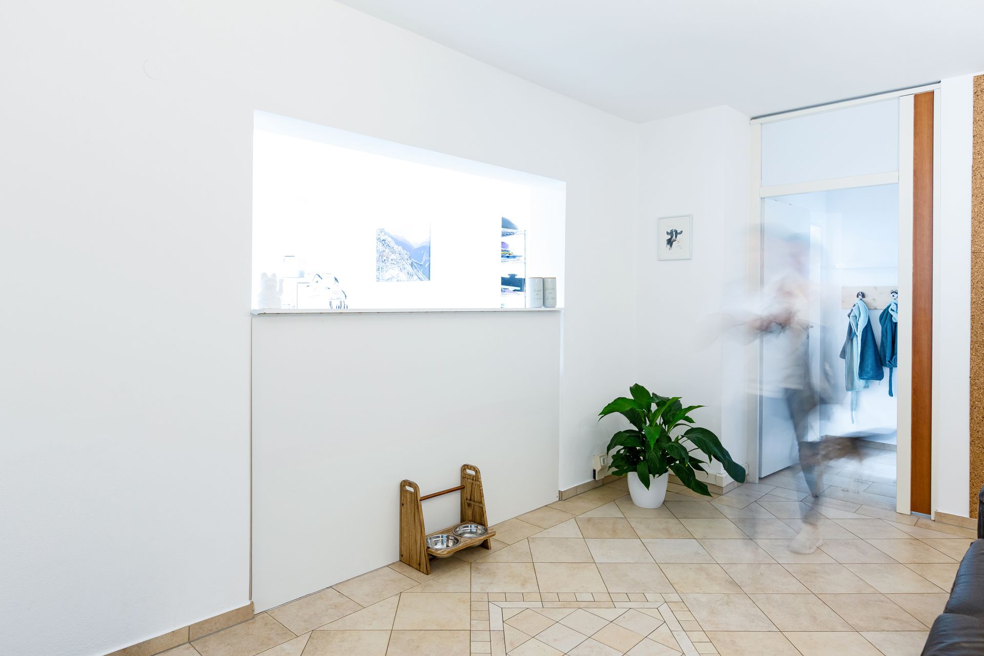 Empfangstresen der Tierphysiotherapie am Schlossberg