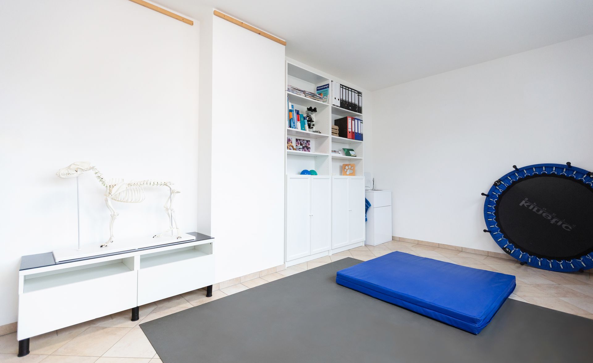 Therapiezimmer der Tierphysiotherapie-Praxis am Schlossberg