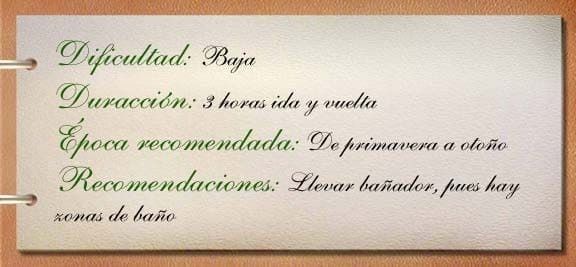 Una tarjeta blanca con escritura en español.