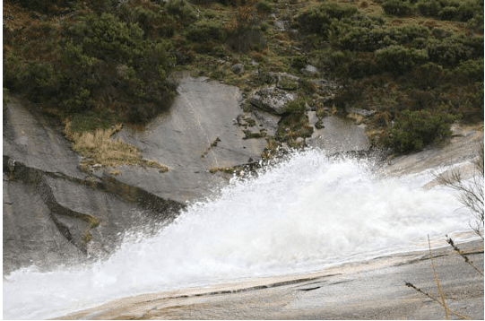Una cascada desciende por un acantilado rocoso en el bosque.