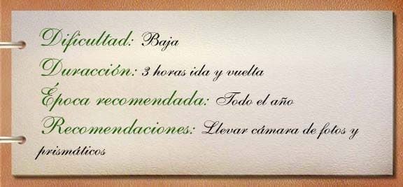 Una tarjeta blanca con escritura en español.