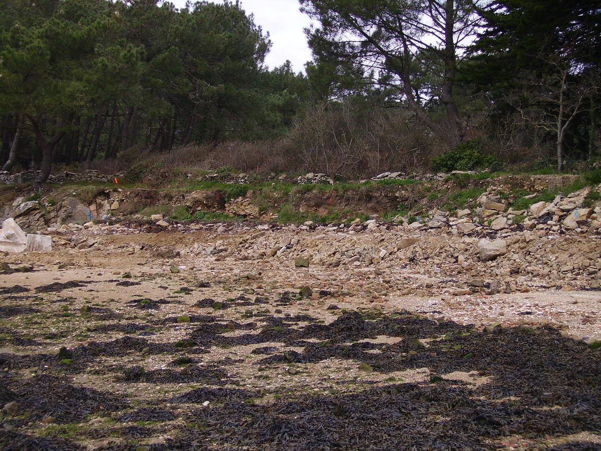 Avant enrochement de terrain