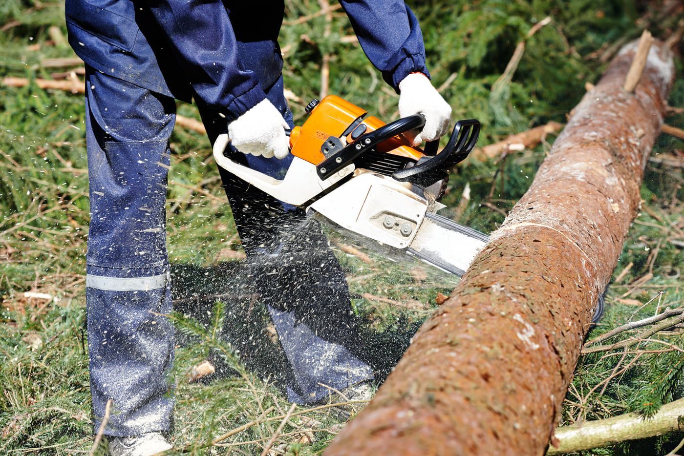 Una persona está cortando un árbol con una motosierra.