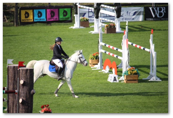 Compétition de chevaux