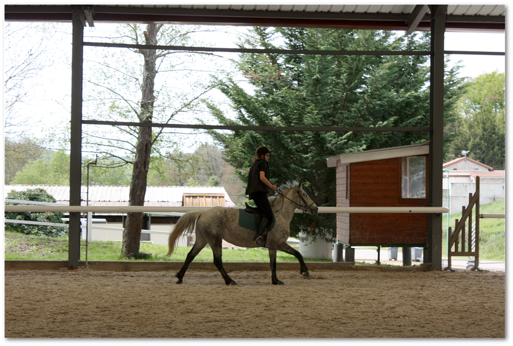 Cours d'équitation tous niveaux