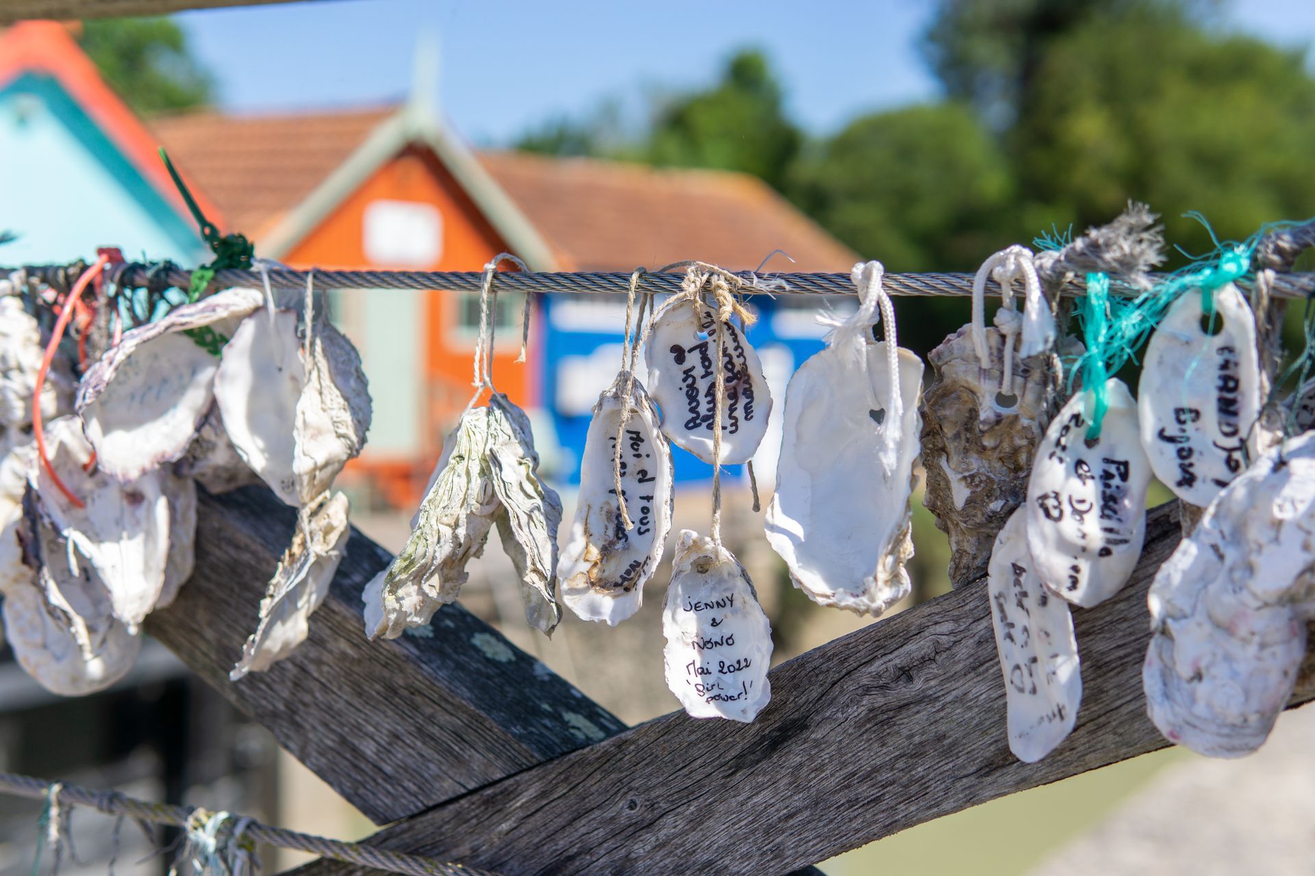Des huïtres suspendues à une corde devant des maisons de pêcheur.