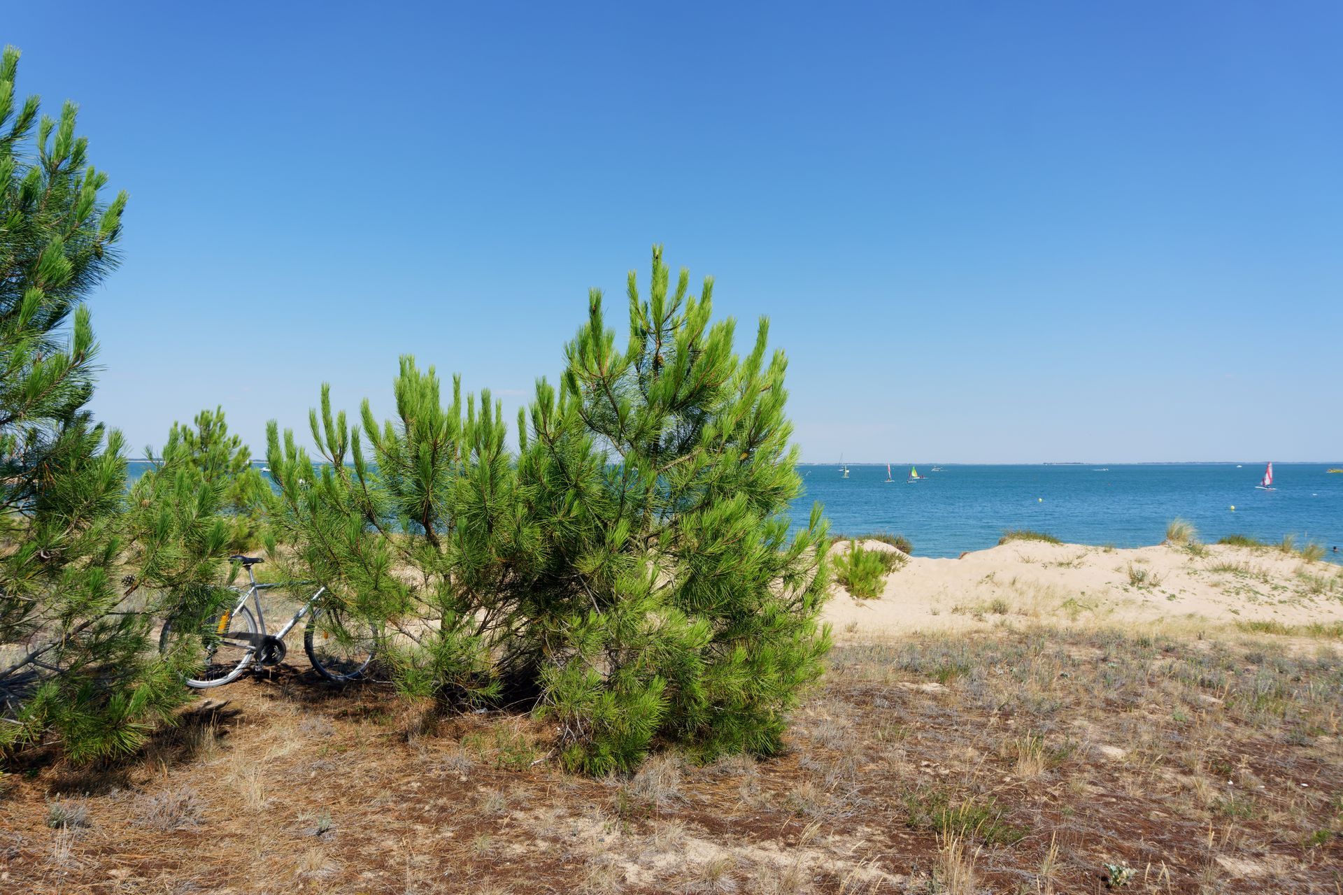 Un vélo garé devant la mer.