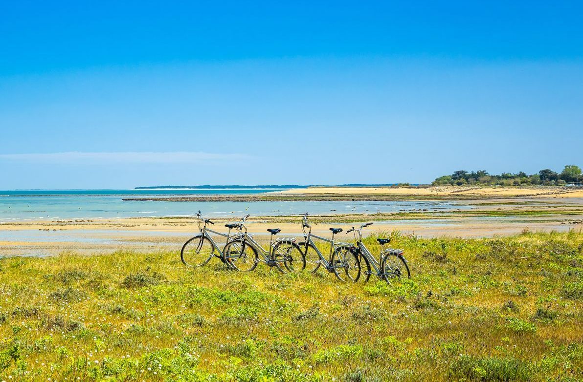 Quatre vélos devant une plage.