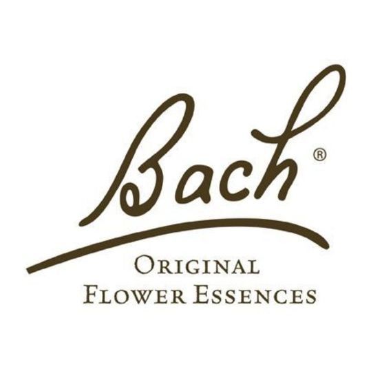 Bach logo - Contrada dei Patrizi