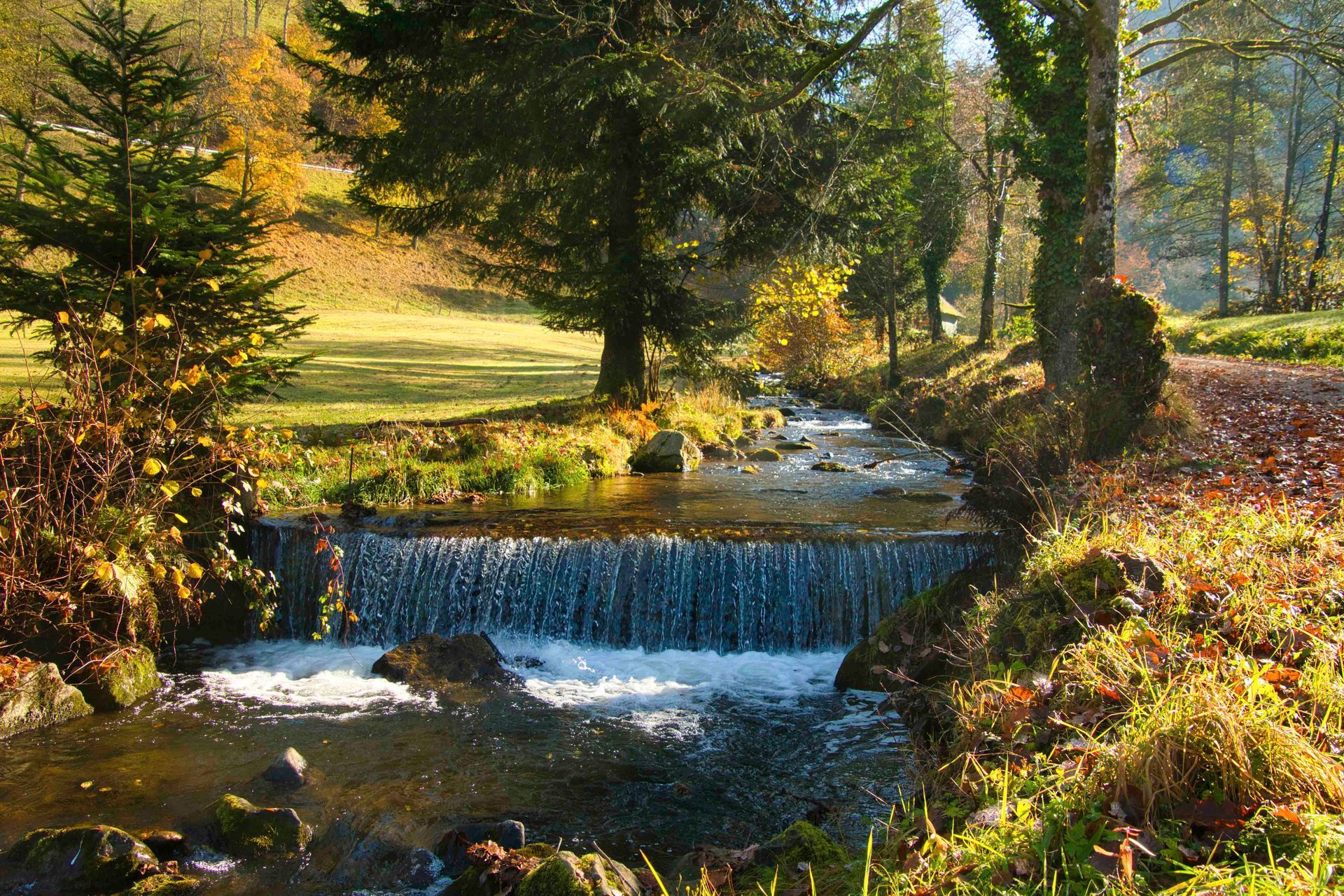Ein Fluss, der durch einen Wald fließt, mit einem kleinen Wasserfall