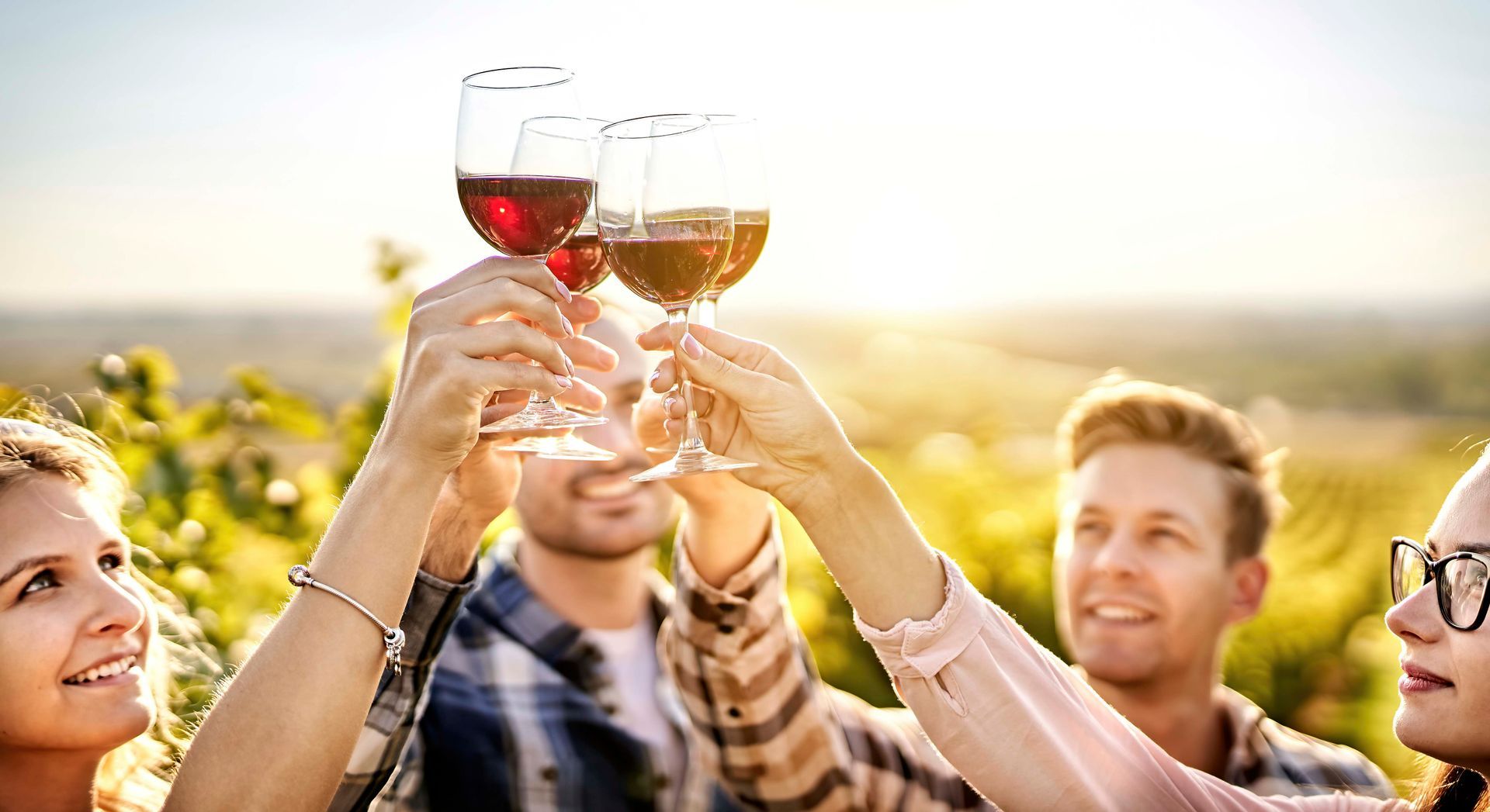 Eine Gruppe Menschen stößt in einem Weinberg mit Weingläsern an.