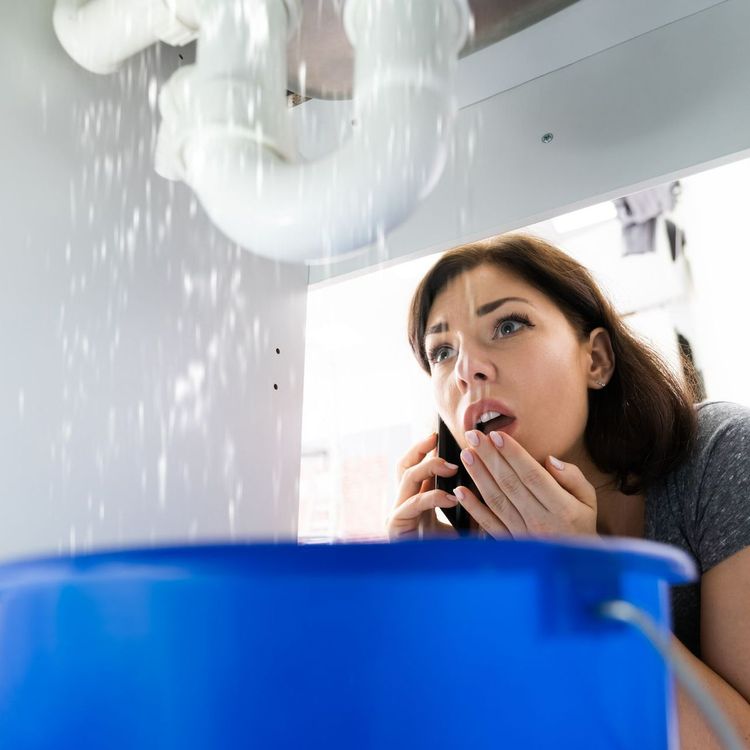 Une femme découvre une fuite d'eau sous son évier.