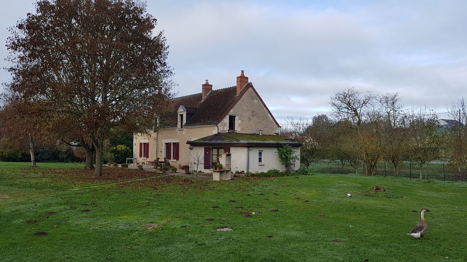 Maison de campagne à rénover avec arbre à gauche et vaste terrain à droite