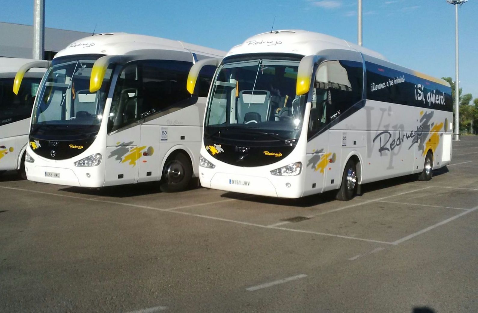 Nuevos buses VIP