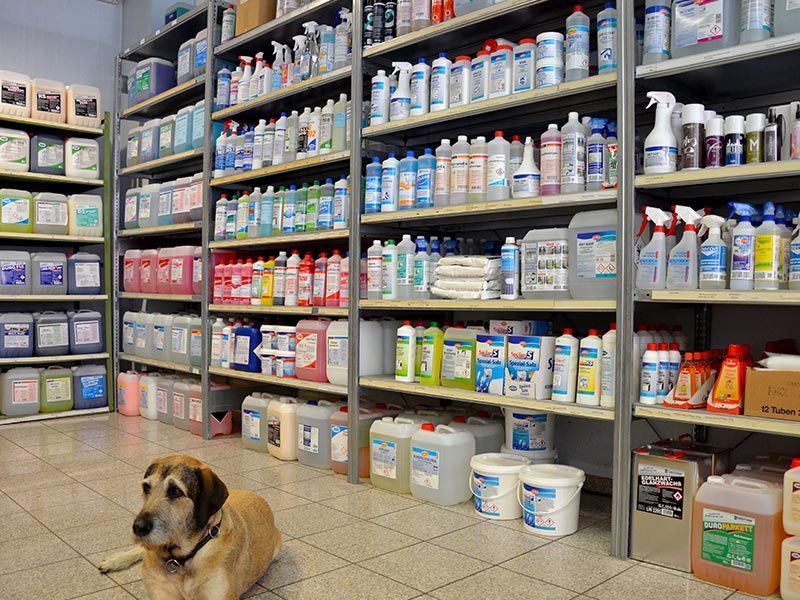 Ein Hund liegt in einem Laden voller Reinigungsmittel auf dem Boden