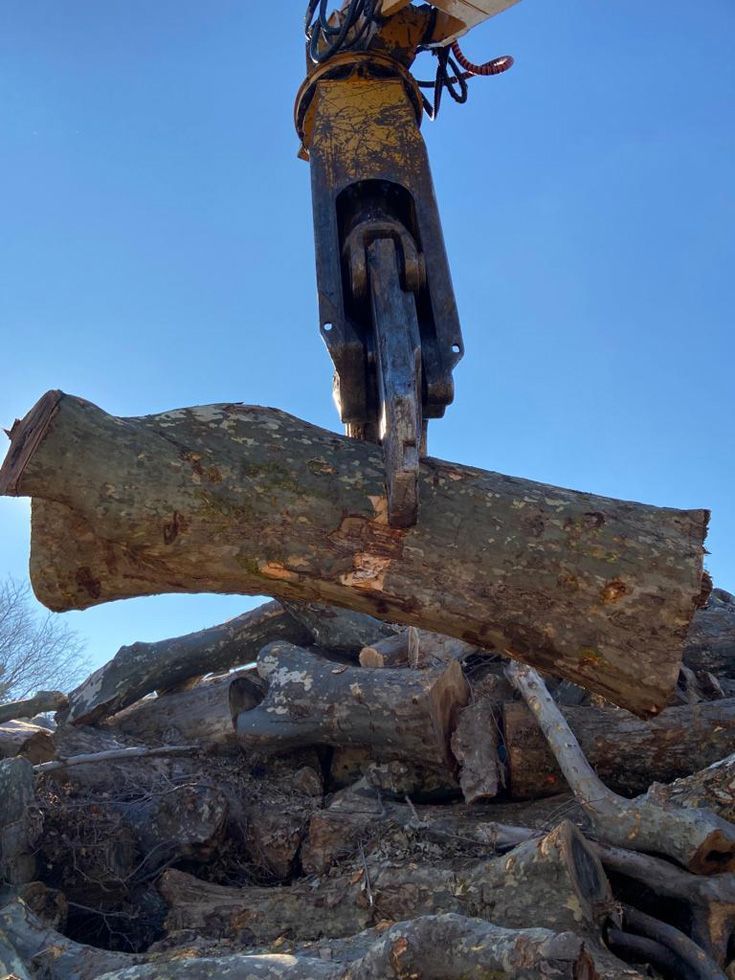 Une pince hydraulique soulève une bûche d'un tas de troncs coupés, sur fond de ciel bleu clair.