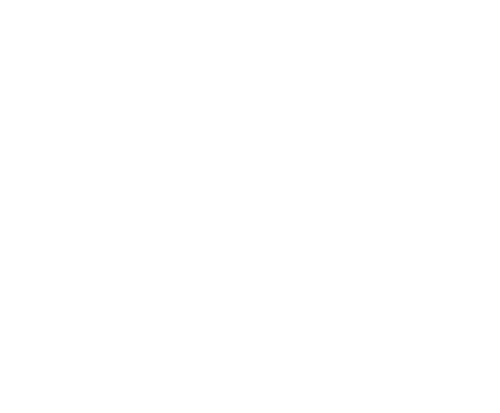 Logo Ari
