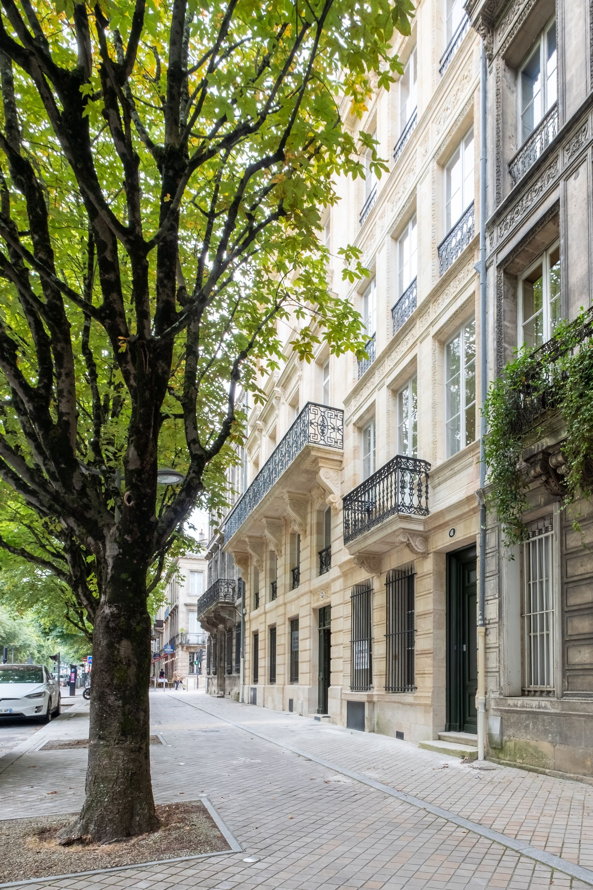 Jolie rue avec des arbres