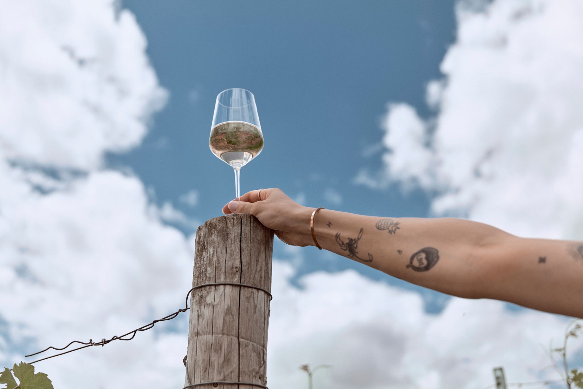 Eine Frau hält ein Glas Wein mit Erdbeeren darin.