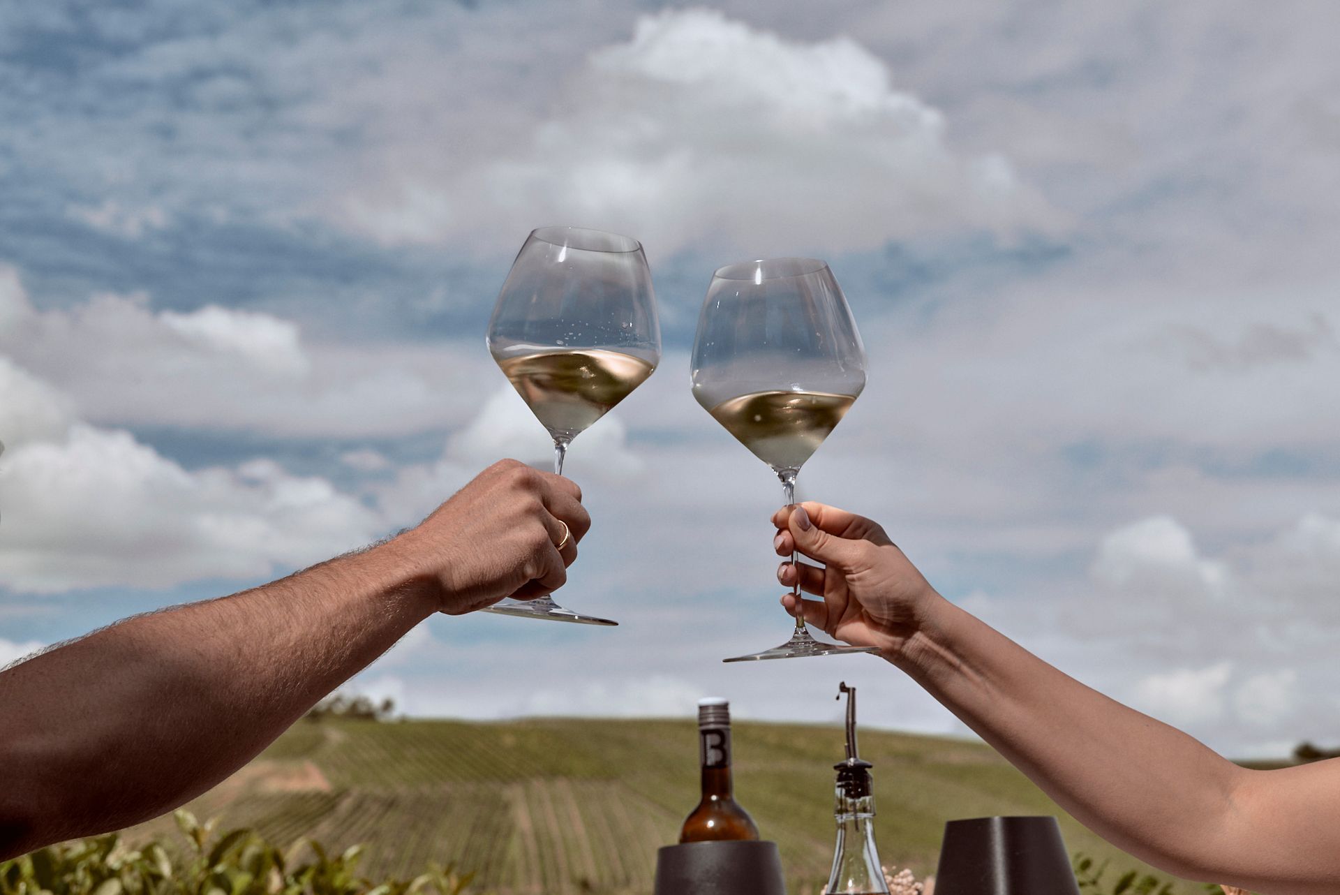 Ein Mann und eine Frau stoßen in einem Weinberg mit Weingläsern an.