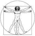 Der vitruvianische Mensch, gezeichnet in einem Kreis und einem Quadrat.