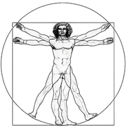 Der vitruvianische Mensch, gezeichnet in einem Kreis und einem Quadrat.