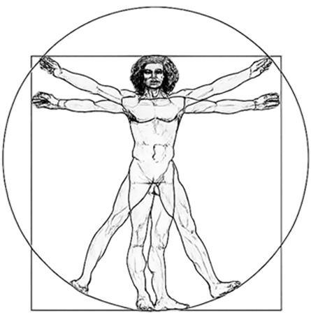 Der vitruvianische Mensch, gezeichnet in einem Kreis und einem Quadrat.