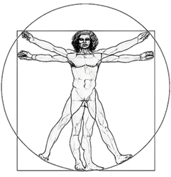 Der vitruvianische Mensch, gezeichnet in einem Kreis und einem Quadrat.
