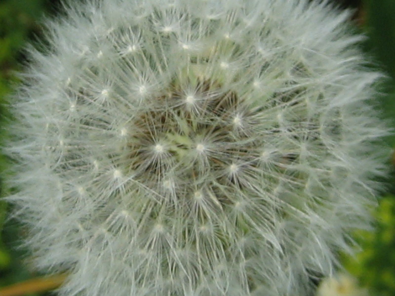 Gesundheitspraxis Astrid Natzler-Affoltern am Albis