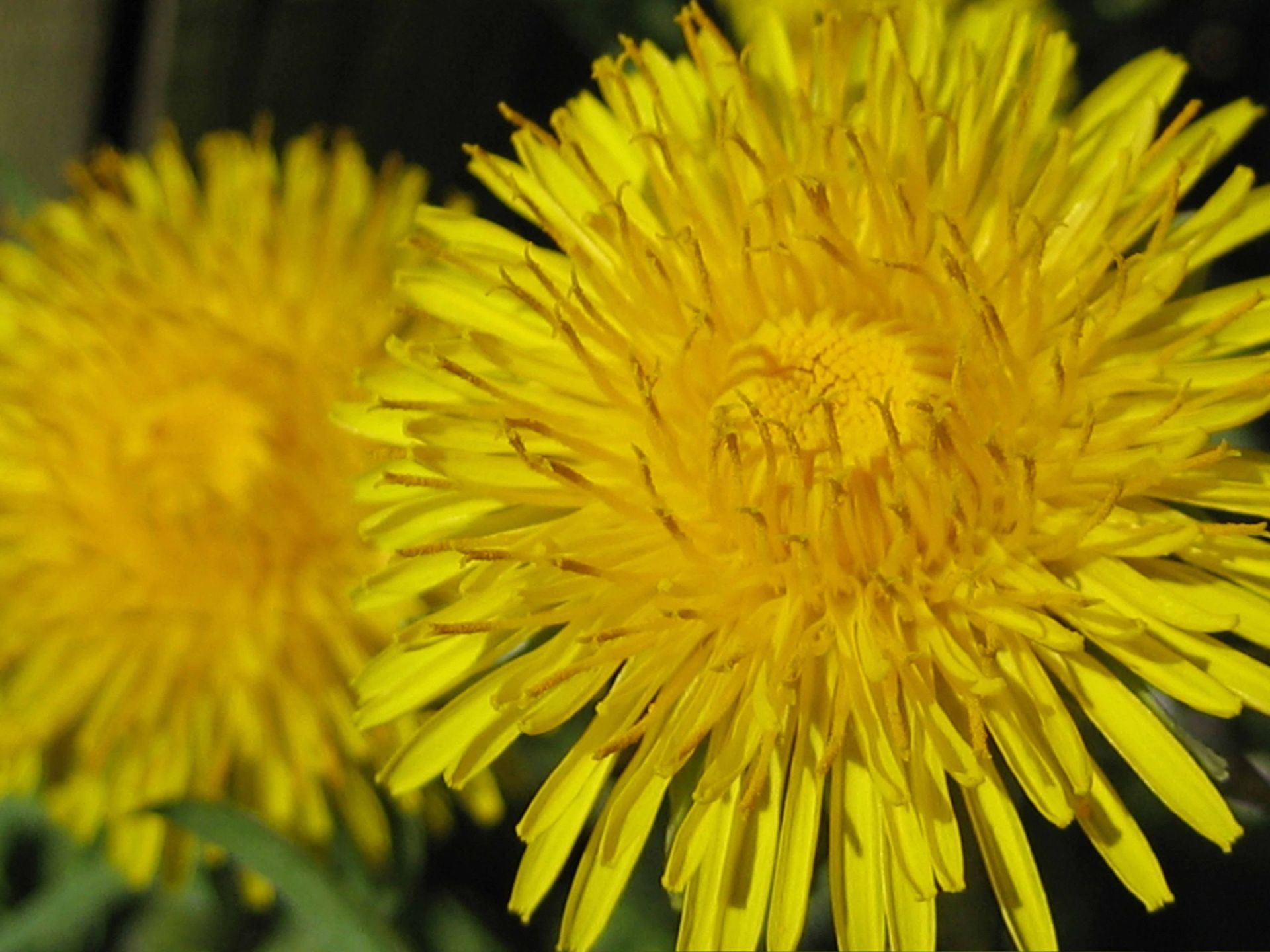 Koreanische Handtherapie - Gesundheitspraxis Astrid Natzler - Affoltern am Albis