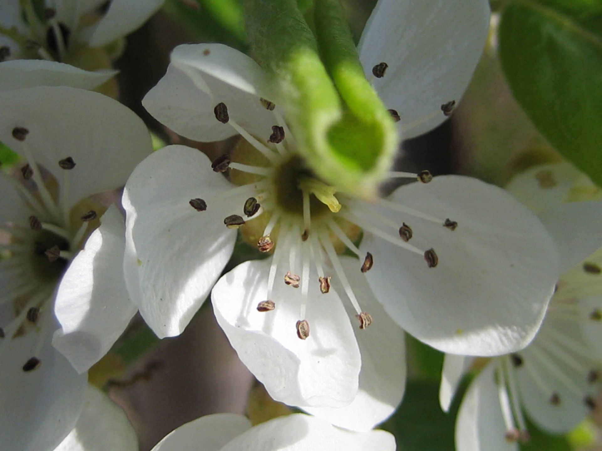 Gesundheitspraxis Astrid Natzler-Affoltern am Albis