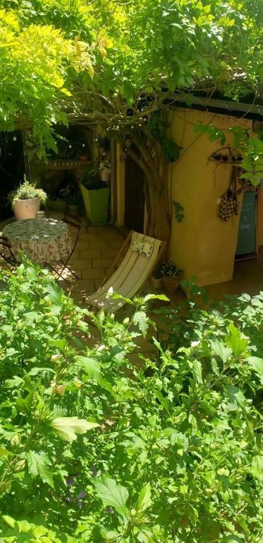 De la végétation au dessus d'une cour