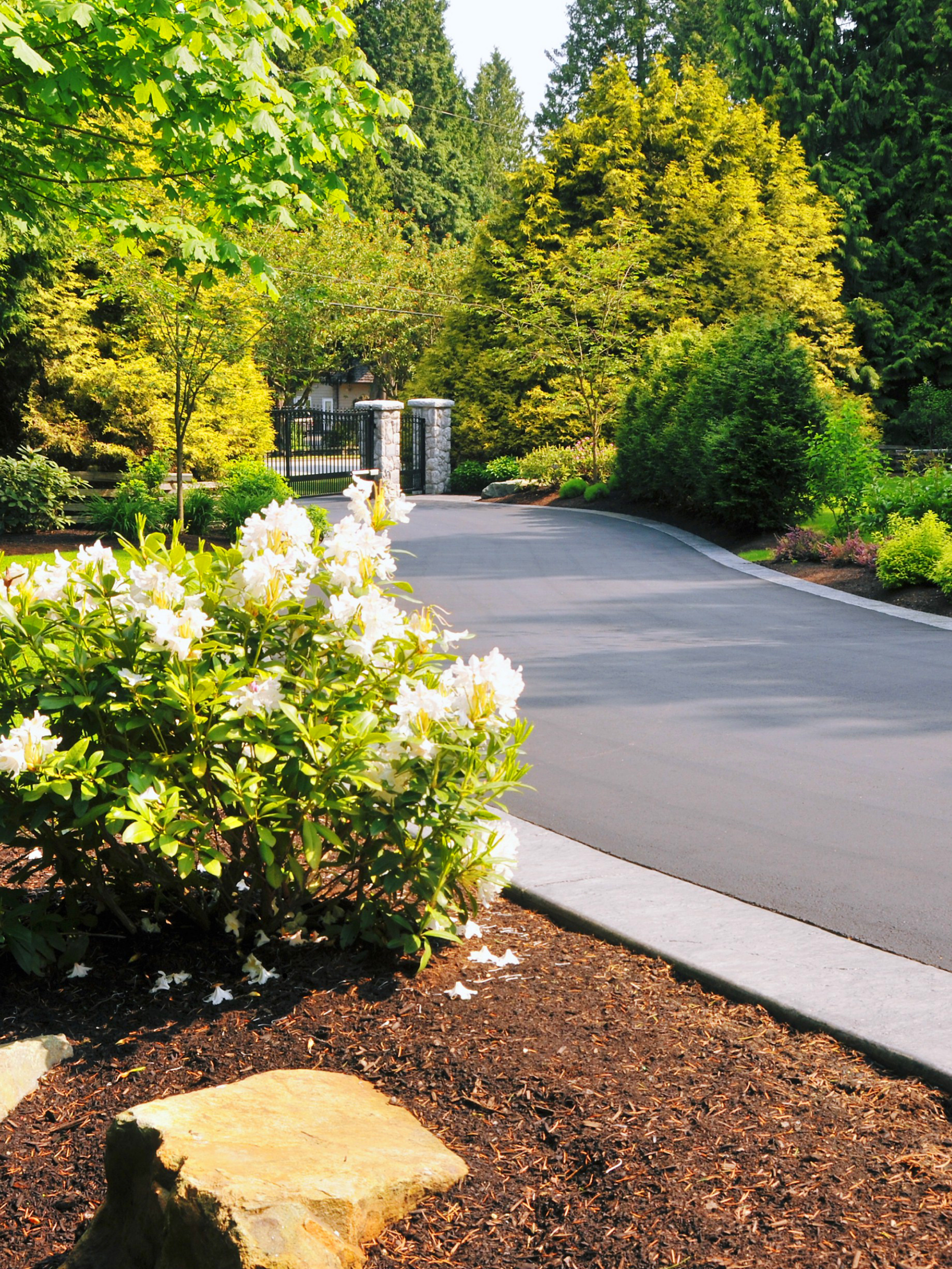 Allée bordée d'arbustes et d'arbres fleuris, menant vers une entrée en pierre.