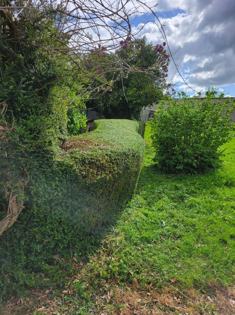 Une haie taillée forme un chemin à travers l'herbe verte, avec des arbres et un ciel nuageux en arrière-plan.