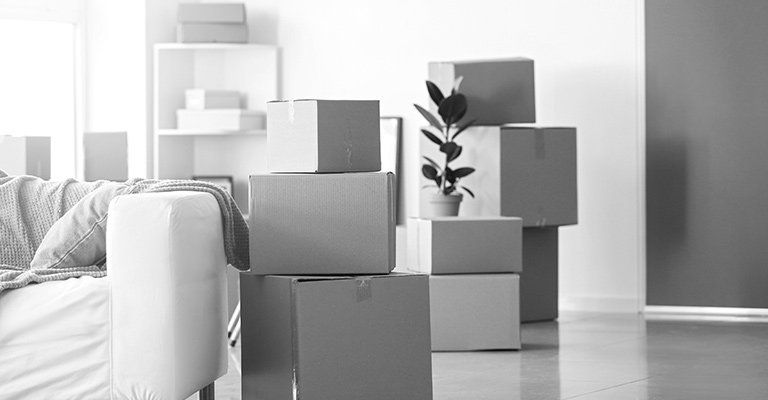 Cartons de déménagement