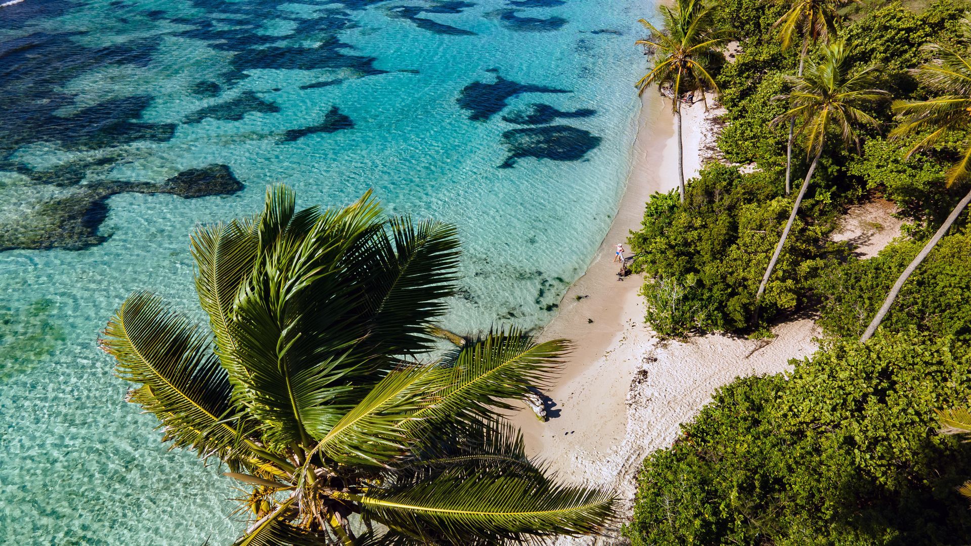Plage en Guadeloupe