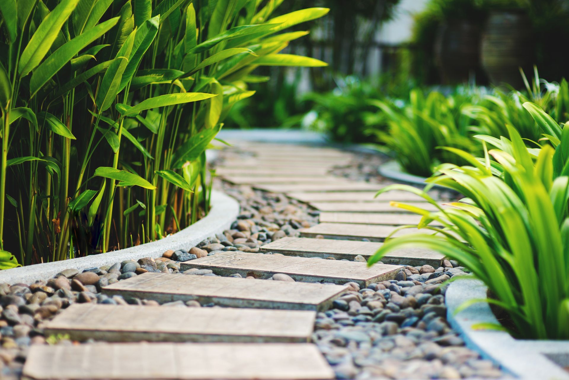Allée de jardin en pierre incurvée bordée de plantes vertes luxuriantes et de galets