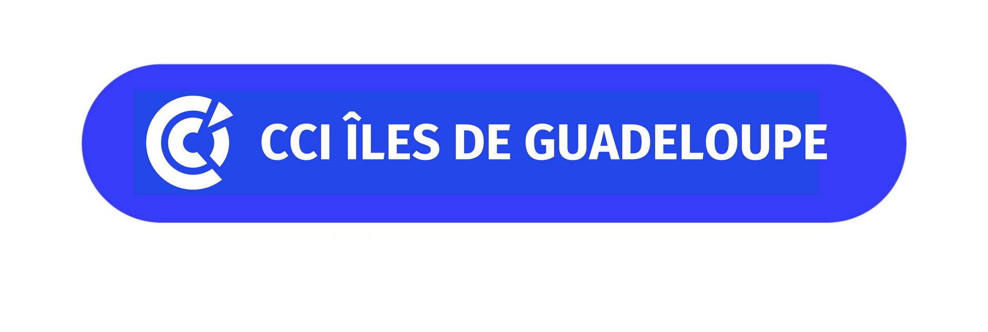Logo CCI Guadeloupe